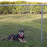 Haiao Chain Link Fence