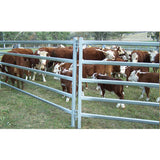 Haiao Cattle Panel